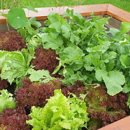 Idyllisches Sommerferienhaus *