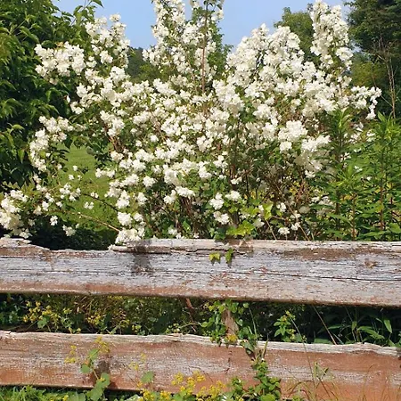 Idyllisches Sommerferienhaus * Friedburg