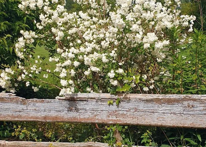 Idyllisches Sommerferienhaus * Friedburg