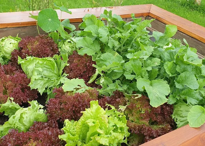 Idyllisches Sommerferienhaus *